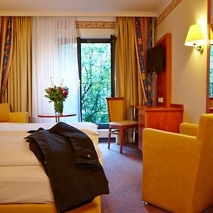 Superior Kamer met een King Size Bed